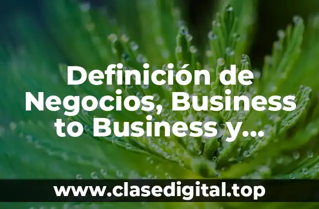 Definición de Negocios, Business to Business y Business to Customers