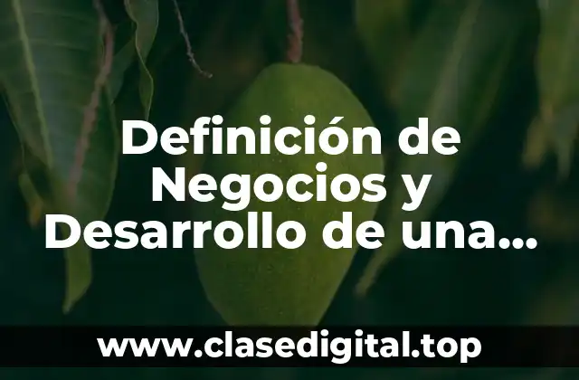 Definición de Negocios y Desarrollo de una Misión