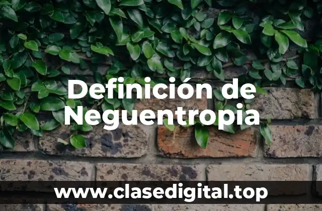 Definición de Neguentropia