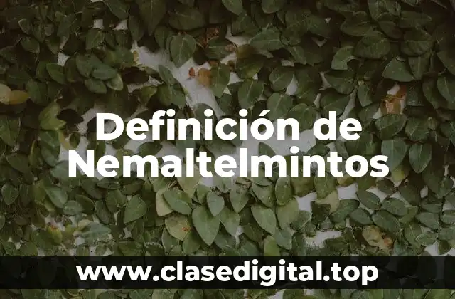 Definición de Nemaltelmintos