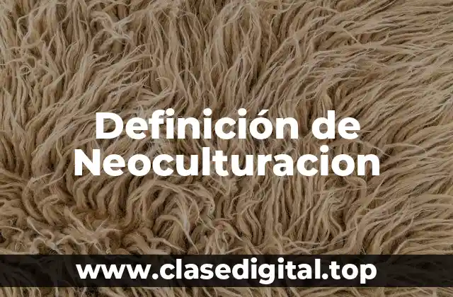 Definición técnica de Neoculturacion
