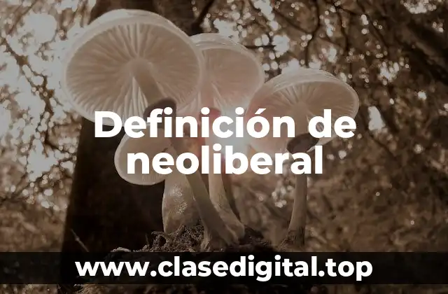 Definición de neoliberal