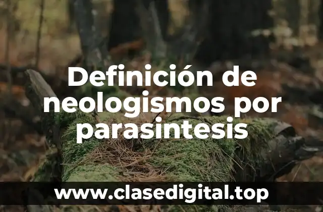 Definición de neologismos por parasintesis