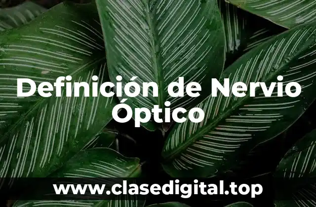 Definición de Nervio Óptico