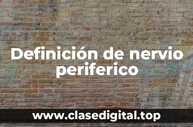 Definición de nervio periferico