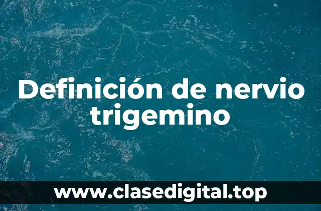 Definición de nervio trigemino