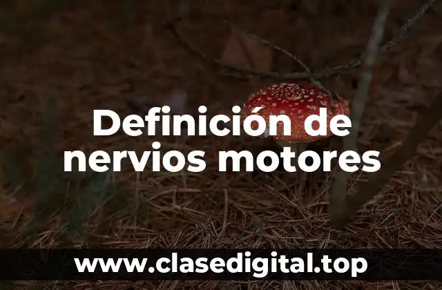 Definición de nervios motores