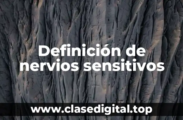Definición técnica de nervio sensitivo