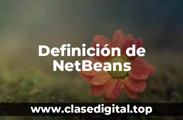 Definición técnica de NetBeans