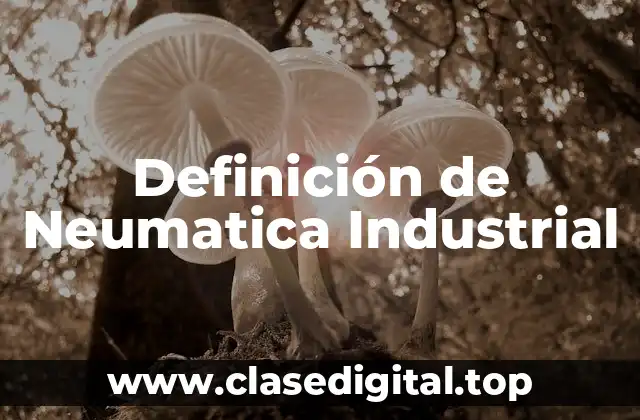 Definición de Neumatica Industrial