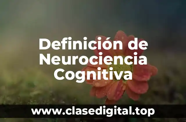 Definición de Neurociencia Cognitiva