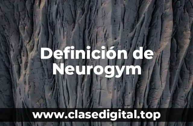 Definición de Neurogym