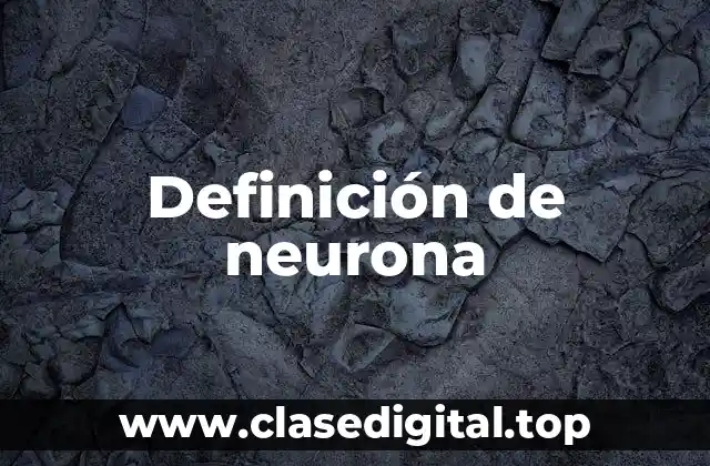 Definición de neurona