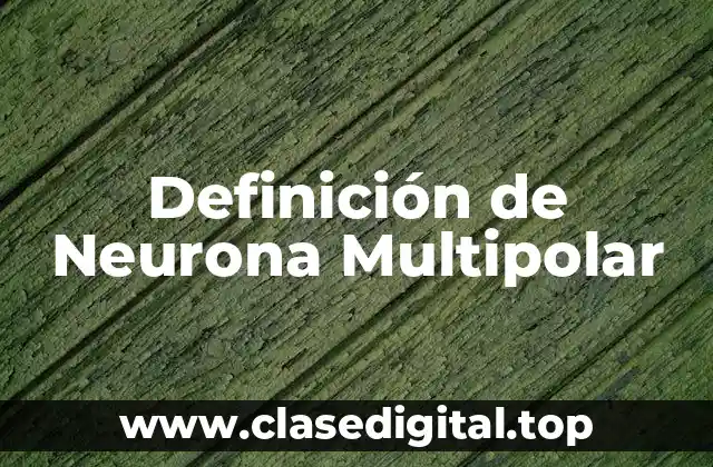 Definición de Neurona Multipolar