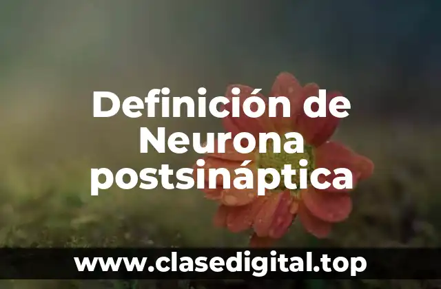 Definición de Neurona postsináptica