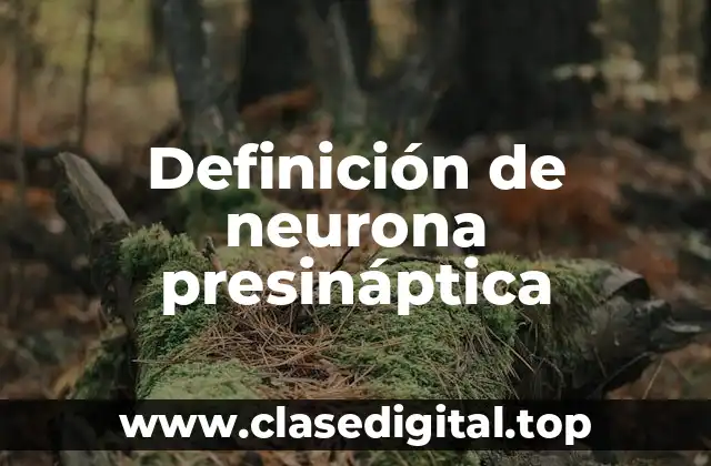 Definición de neurona presináptica