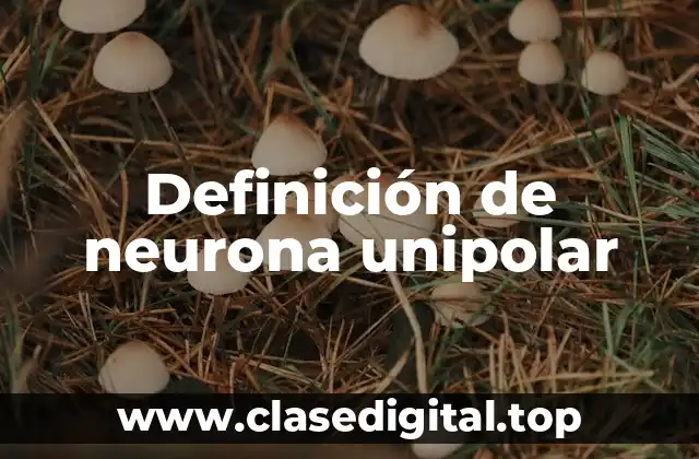 Definición de neurona unipolar