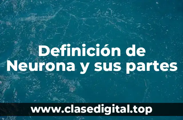 Definición de Neurona y sus partes