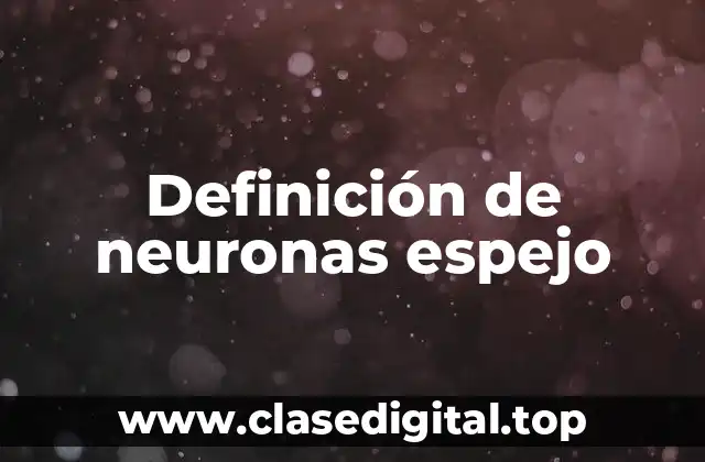 Definición de neuronas espejo
