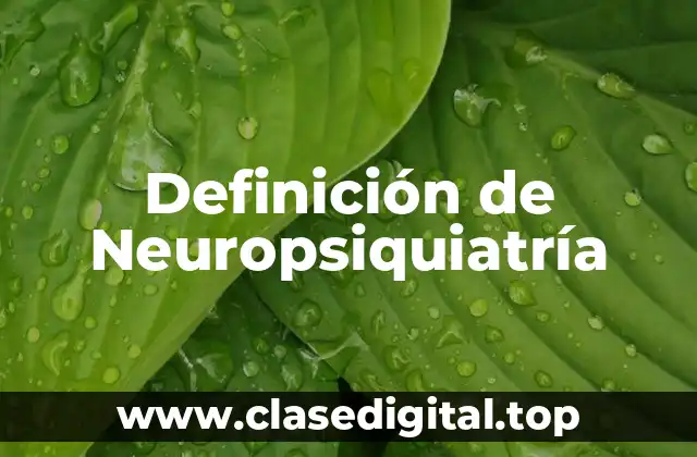 Definición de Neuropsiquiatría