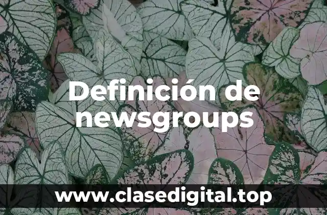 Definición técnica de newsgroups