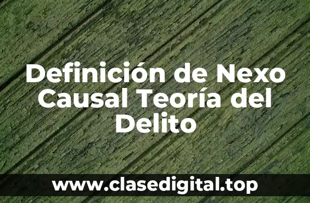 Definición de Nexo Causal Teoría del Delito