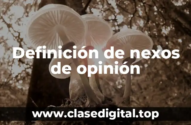 Definición de nexos de opinión
