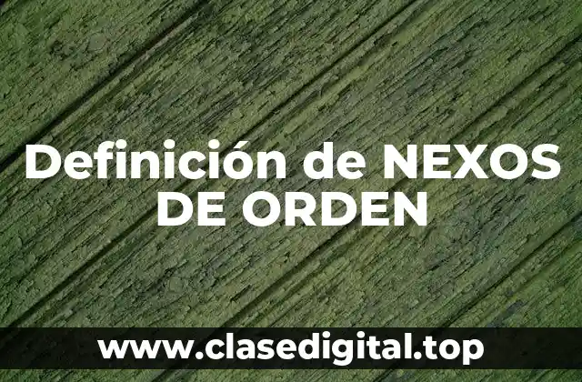 Definición de NEXOS DE ORDEN