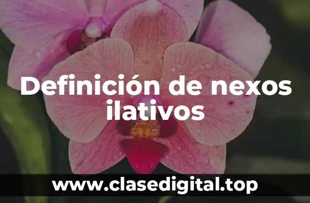 Definición de nexos ilativos