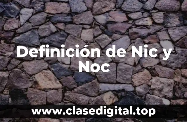 Definición de Nic y Noc