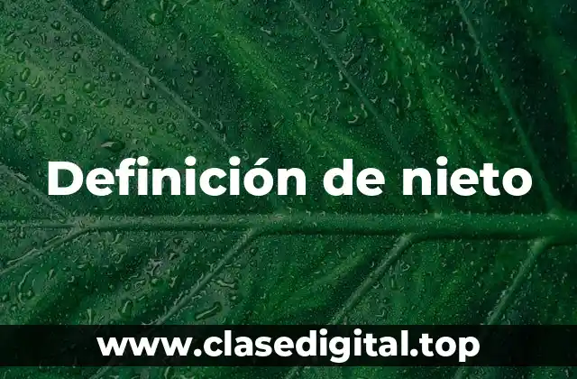 Definición de nieto