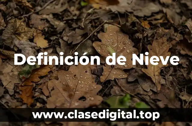 Definición de Nieve