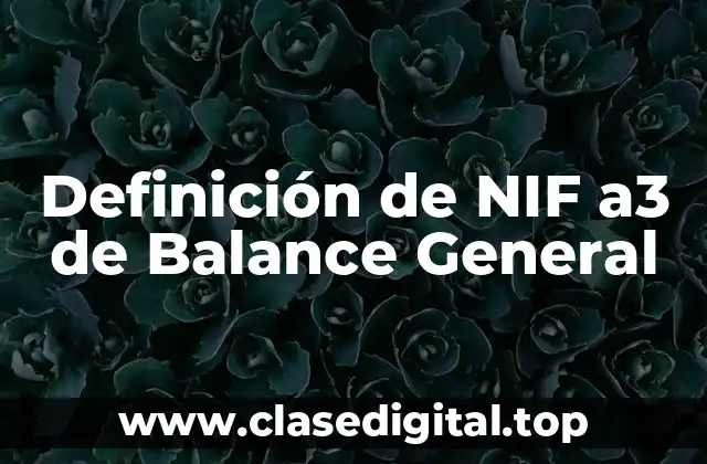 Definición de NIF a3 de Balance General