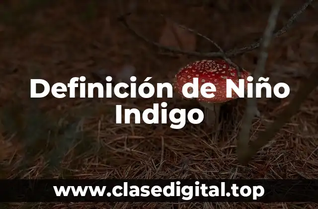 Definición de Niño Indigo