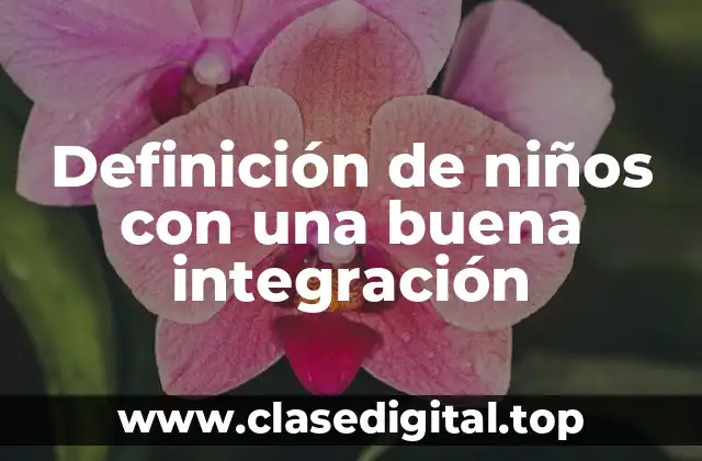 Definición técnica de una buena integración en niños