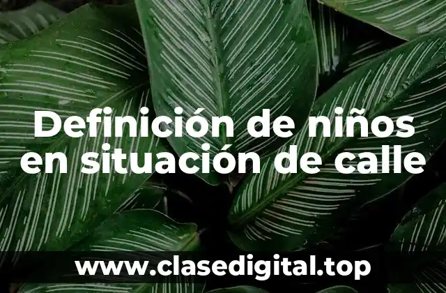 Definición de niños en situación de calle