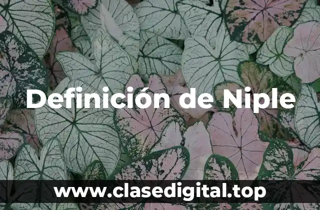 Definición de Niple