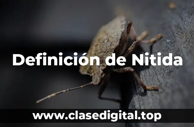 Definición de Nitida