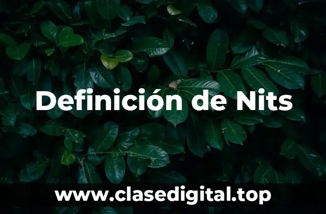 Definición de Nits