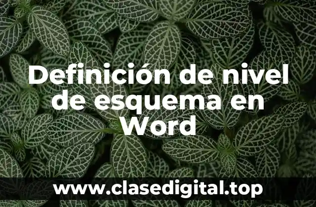 Definición de nivel de esquema en Word