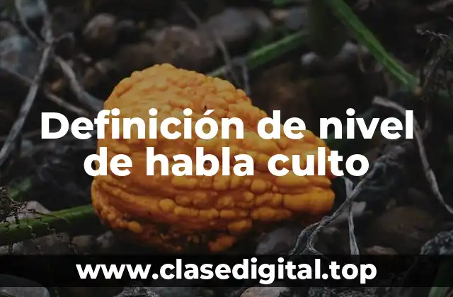 Definición de nivel de habla culto