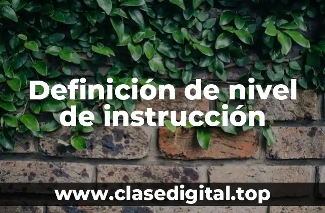 Definición de nivel de instrucción