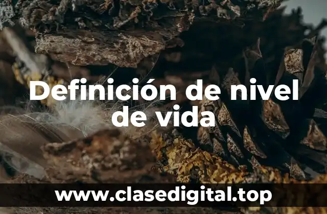 Definición de nivel de vida