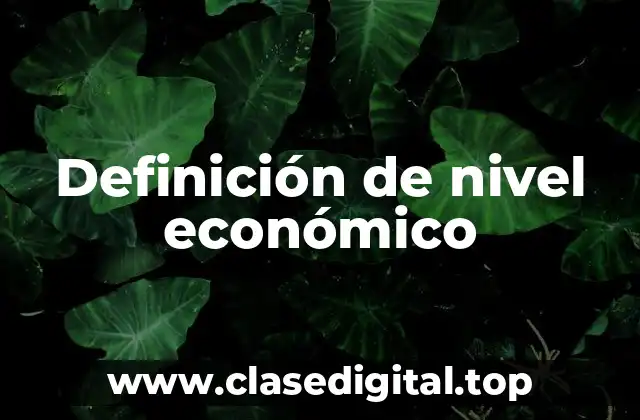 Definición técnica de nivel económico