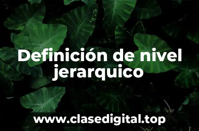 Definición de nivel jerarquico