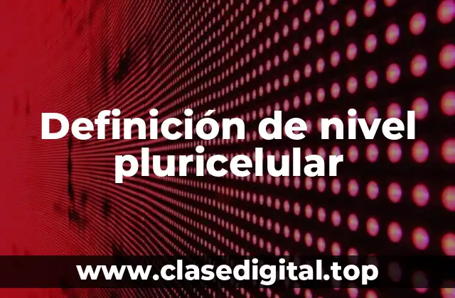 Definición de nivel pluricelular