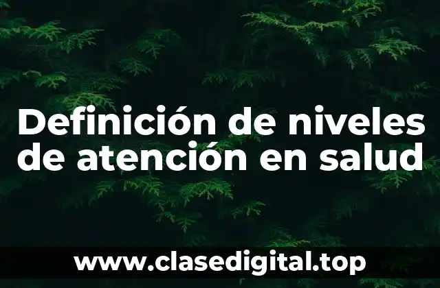 Definición de niveles de atención en salud
