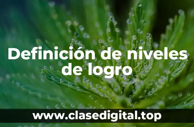 Definición de niveles de logro