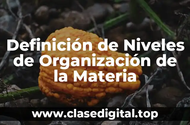 Definición de Niveles de Organización de la Materia