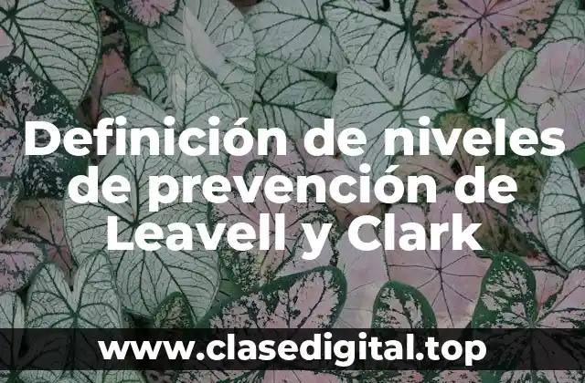 Definición de niveles de prevención de Leavell y Clark